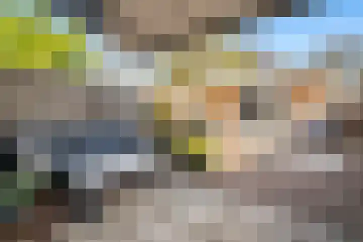 Willem Elsschotsingel 13 Hillegom thumbnail 29