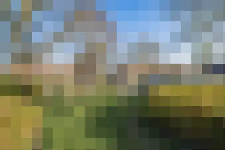 Willem Elsschotsingel 13 Hillegom thumbnail 38