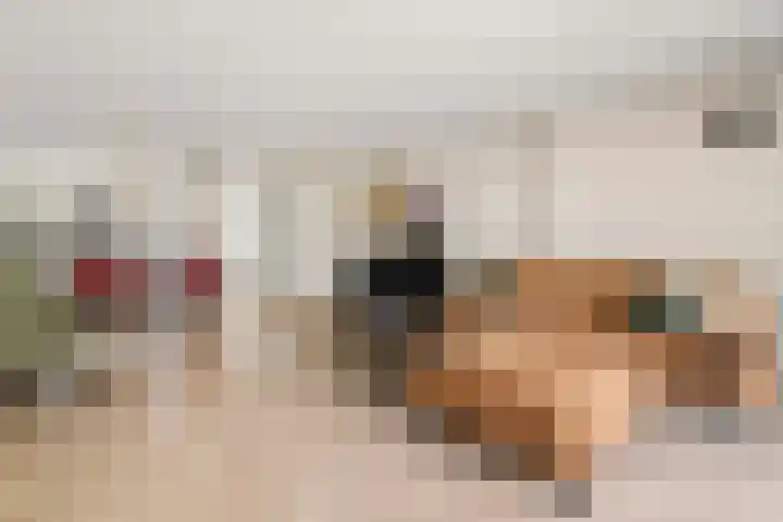 Willem Elsschotsingel 13 Hillegom thumbnail 5
