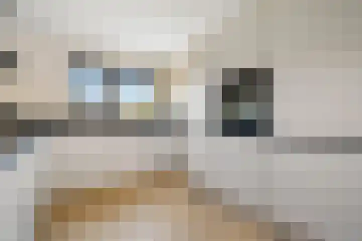 Willem Elsschotsingel 13 Hillegom thumbnail 7