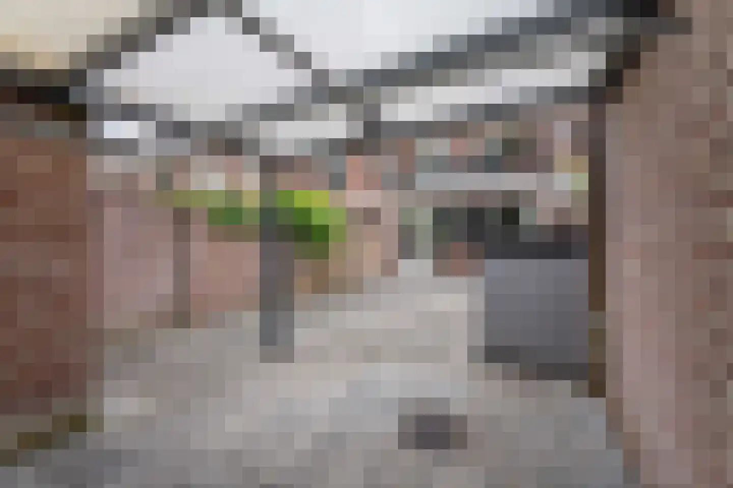 Willem Elsschotsingel 5 Hillegom thumbnail 12