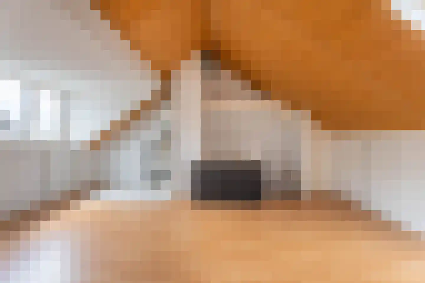 Willem Elsschotsingel 5 Hillegom thumbnail 31