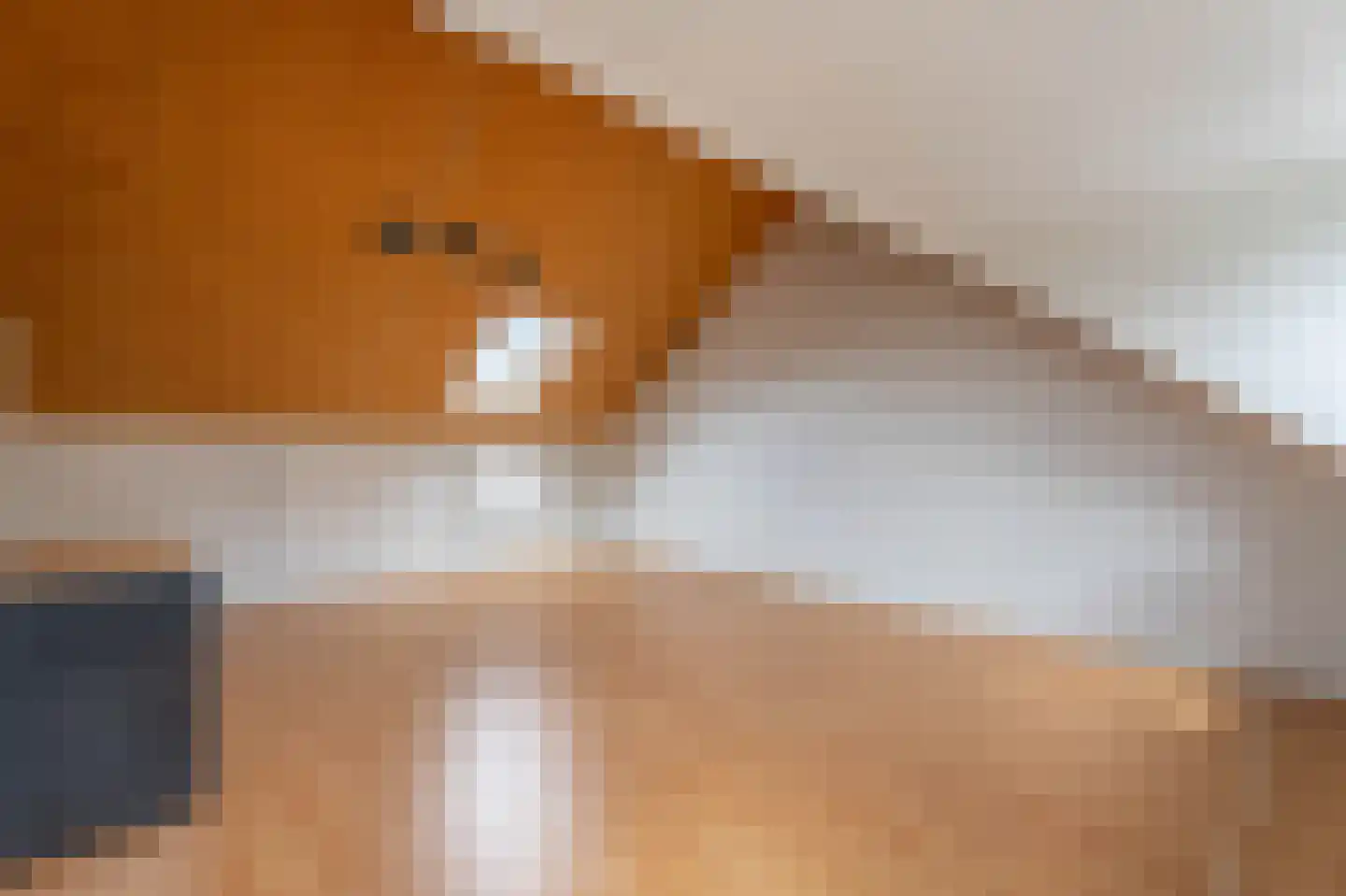 Willem Elsschotsingel 5 Hillegom thumbnail 32