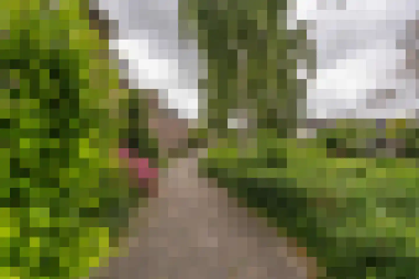 Willem Elsschotsingel 5 Hillegom thumbnail 33