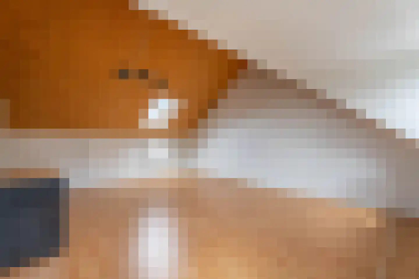 Willem Elsschotsingel 5 Hillegom thumbnail 33