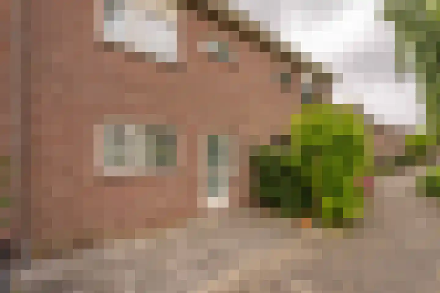 Willem Elsschotsingel 5 Hillegom thumbnail 4