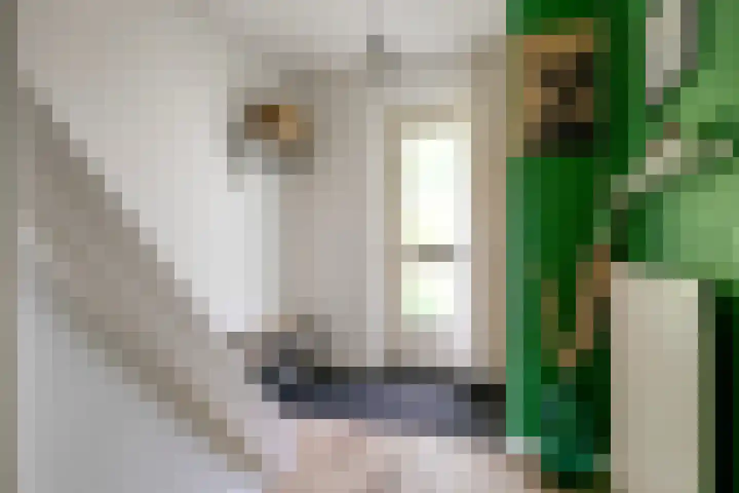 Willem Elsschotstraat 13 Rosmalen thumbnail 11