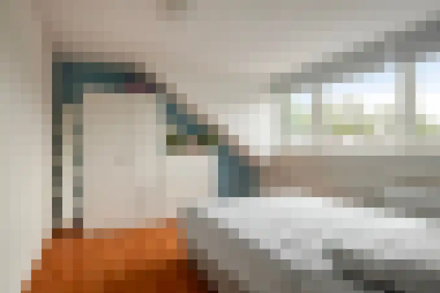 Willem Elsschotstraat 13 Rosmalen thumbnail 20