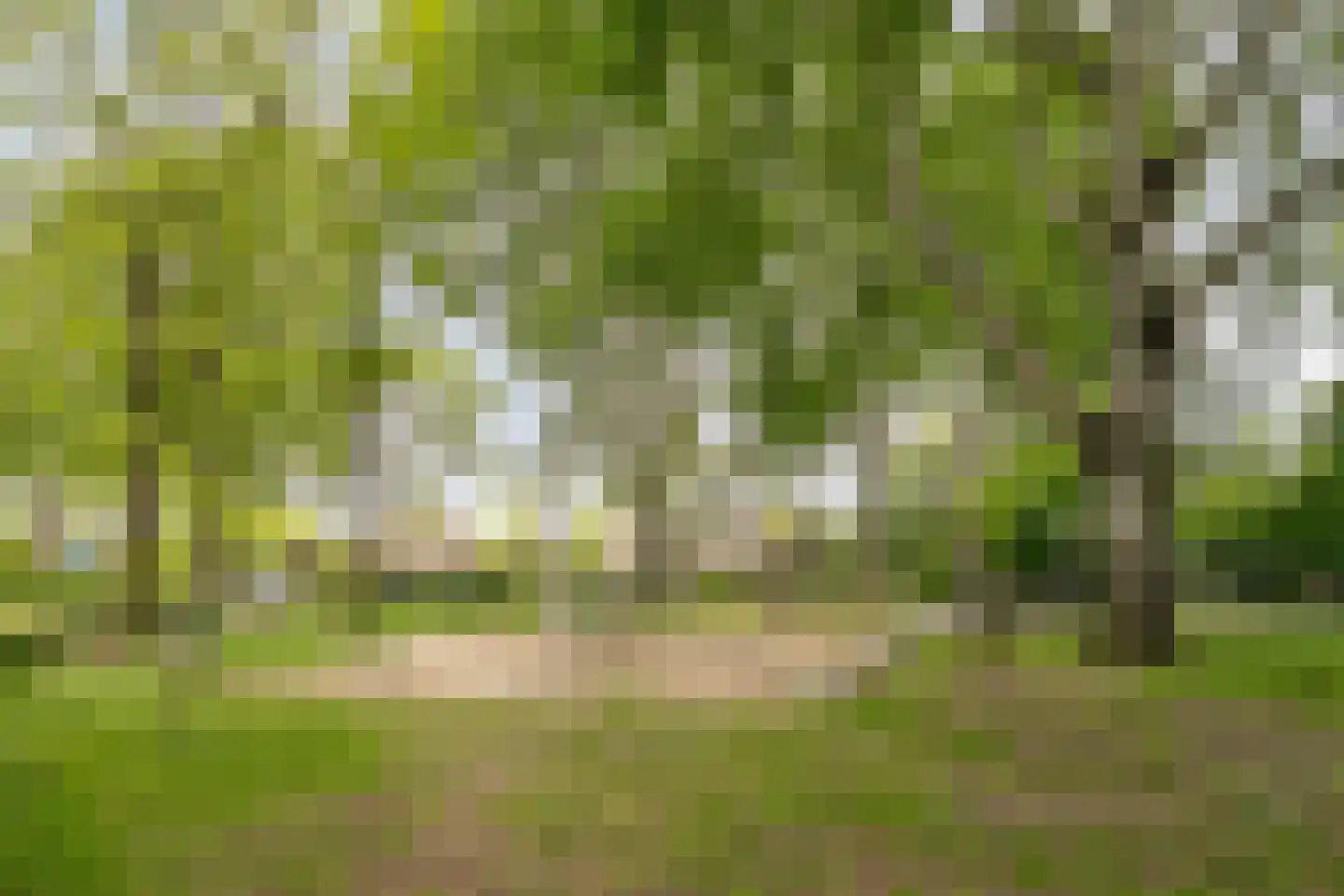 Willem Elsschotstraat 13 Rosmalen thumbnail 28