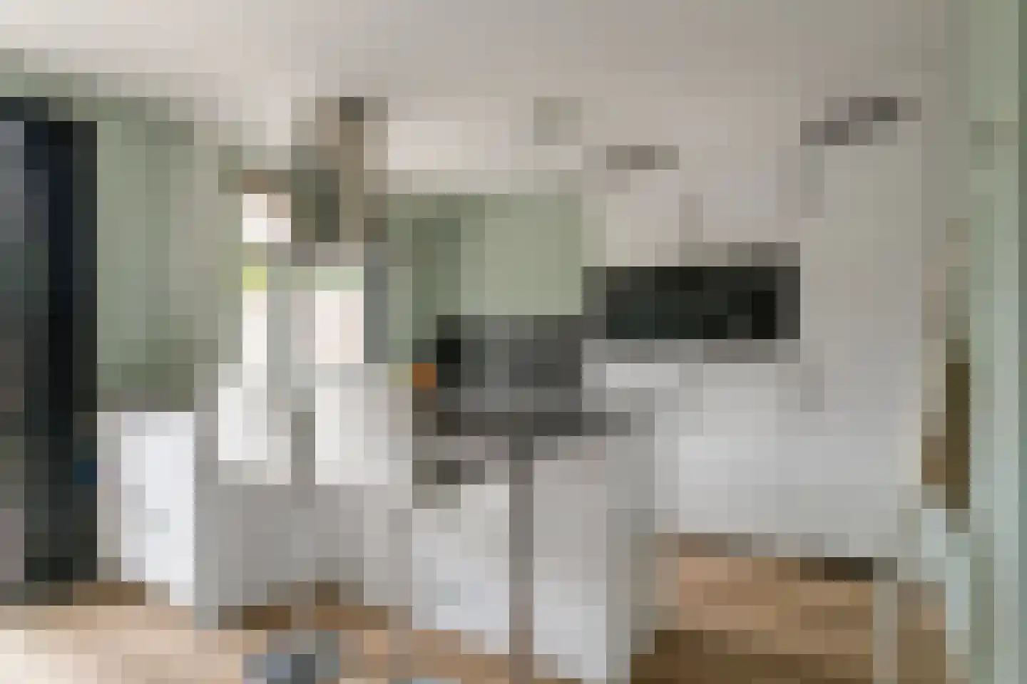 Willem Elsschotstraat 13 Rosmalen thumbnail 8