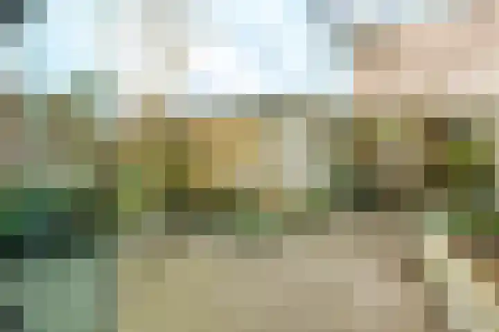 Willem Elsschotstraat 15 Wageningen thumbnail 22