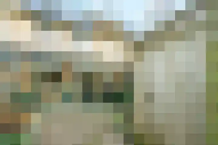 Willem Elsschotstraat 15 Wageningen thumbnail 23