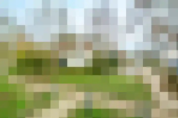 Willem Elsschotstraat 15 Wageningen thumbnail 24