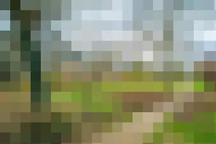 Willem Elsschotstraat 15 Wageningen thumbnail 25