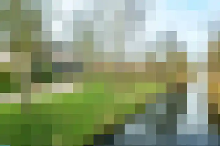 Willem Elsschotstraat 15 Wageningen thumbnail 28