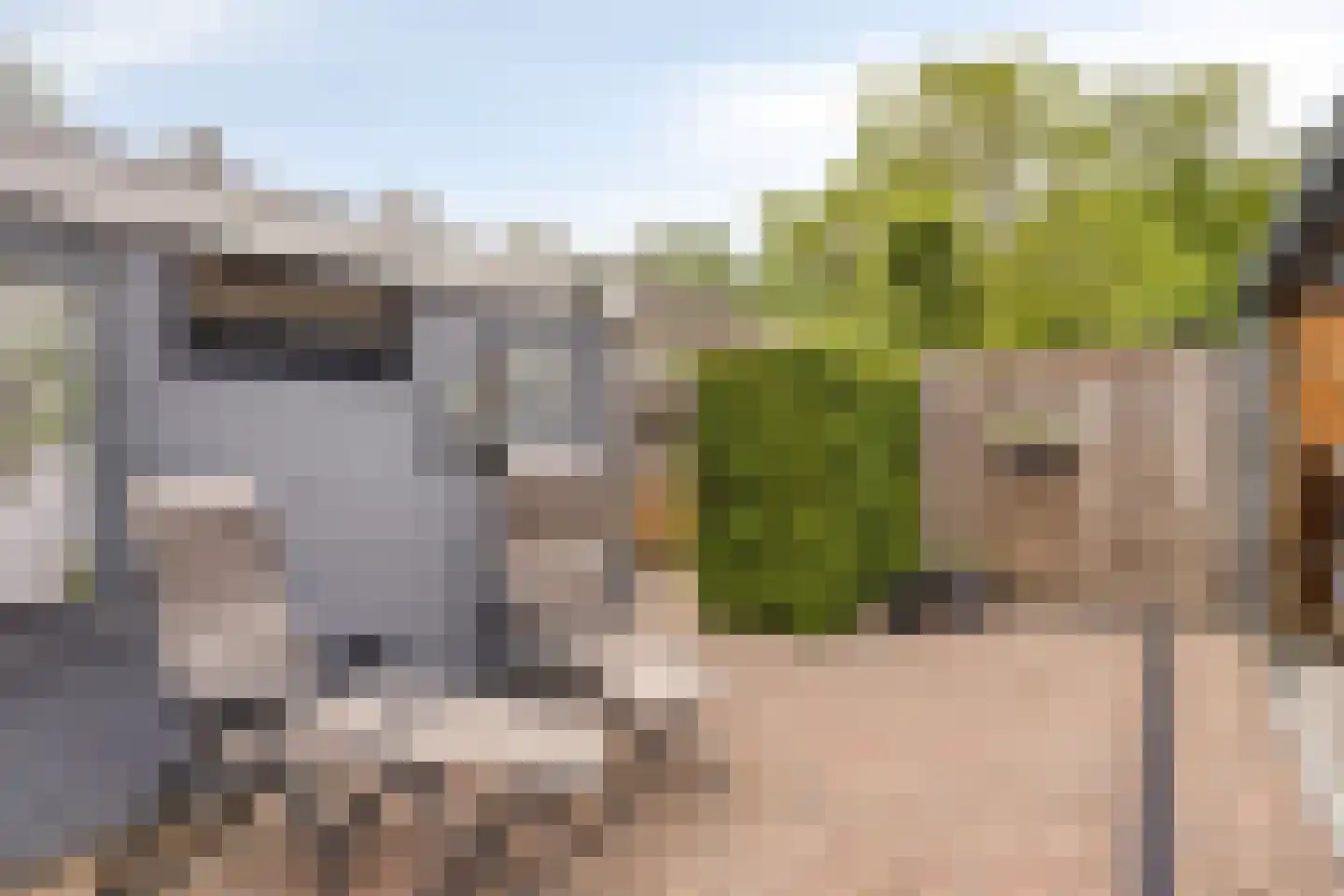 Willem Elsschotstraat 7 Rosmalen thumbnail 12