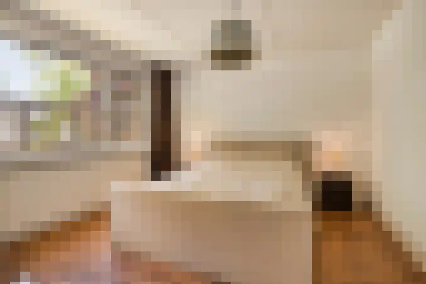 Willem Elsschotstraat 7 Rosmalen thumbnail 22