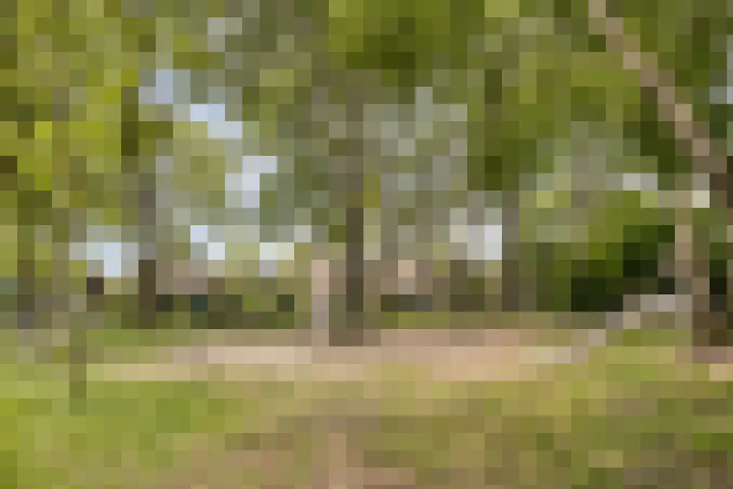 Willem Elsschotstraat 7 Rosmalen thumbnail 31