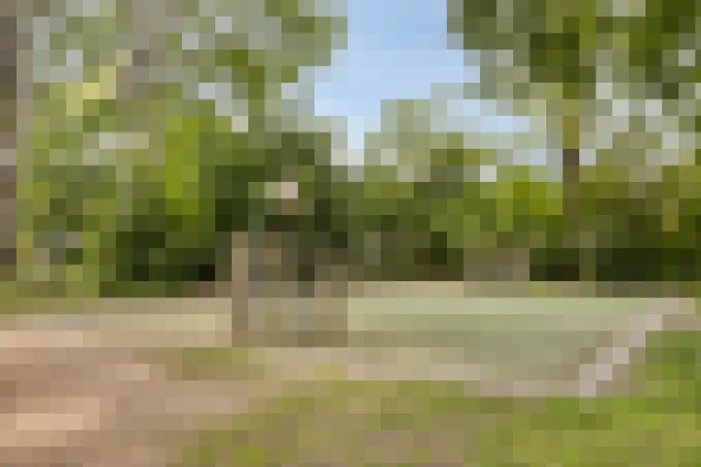 Willem Elsschotstraat 7 Rosmalen thumbnail 32
