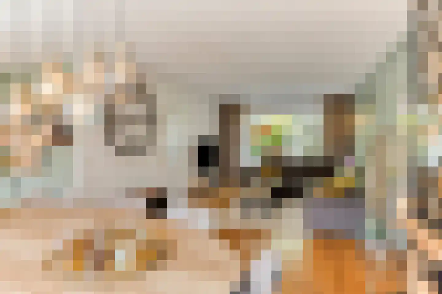 Willem Elsschotstraat 7 Rosmalen thumbnail 5