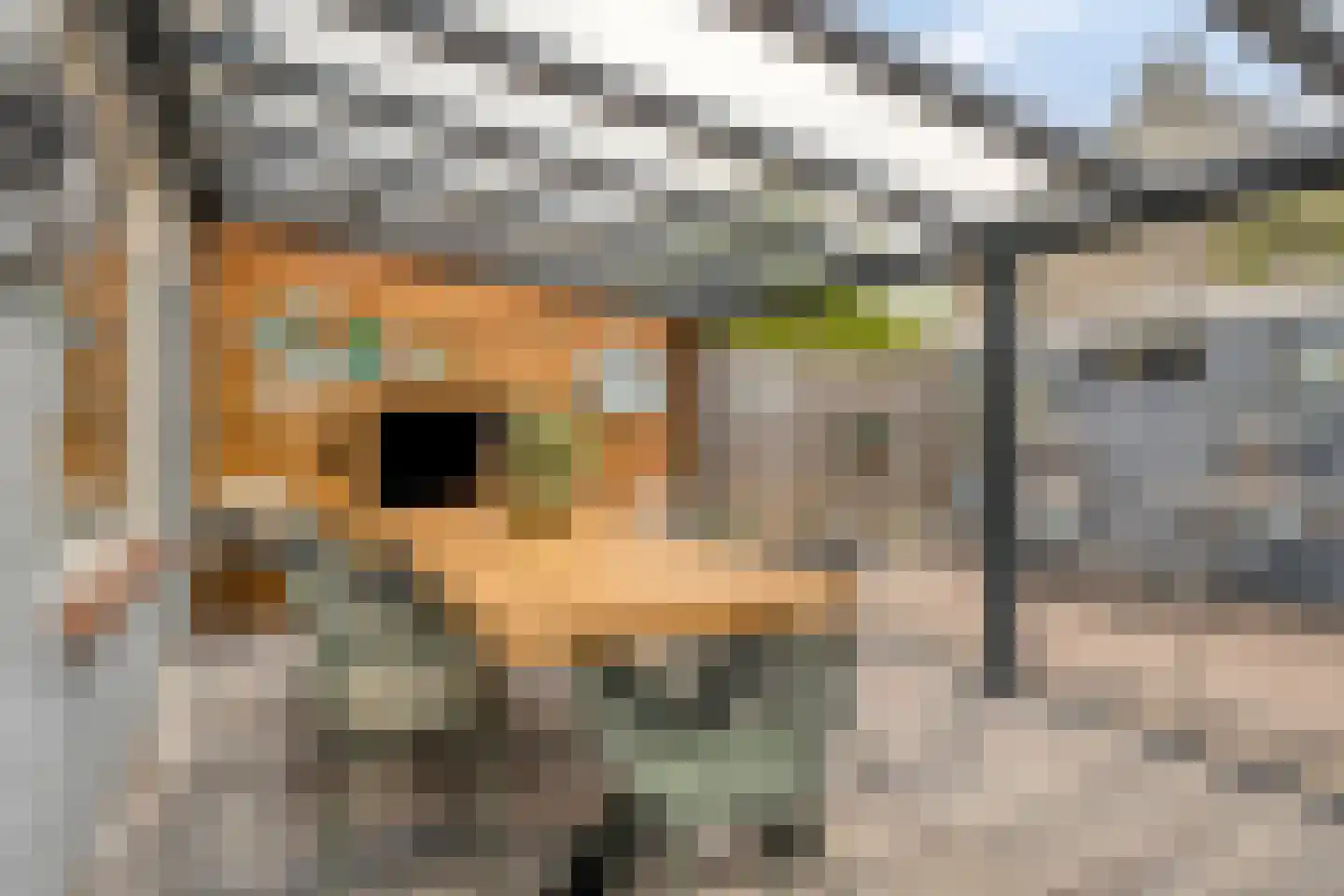 Willem Elsschotstraat 7 Rosmalen thumbnail 9