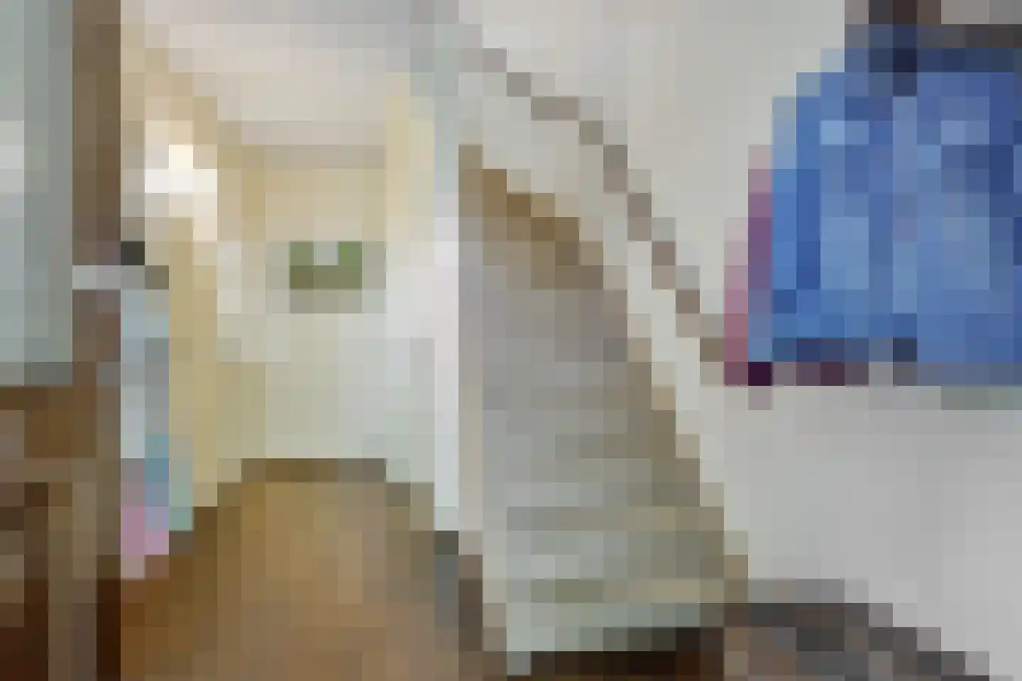 Willem Elsschotstraat 9 Rosmalen thumbnail 12