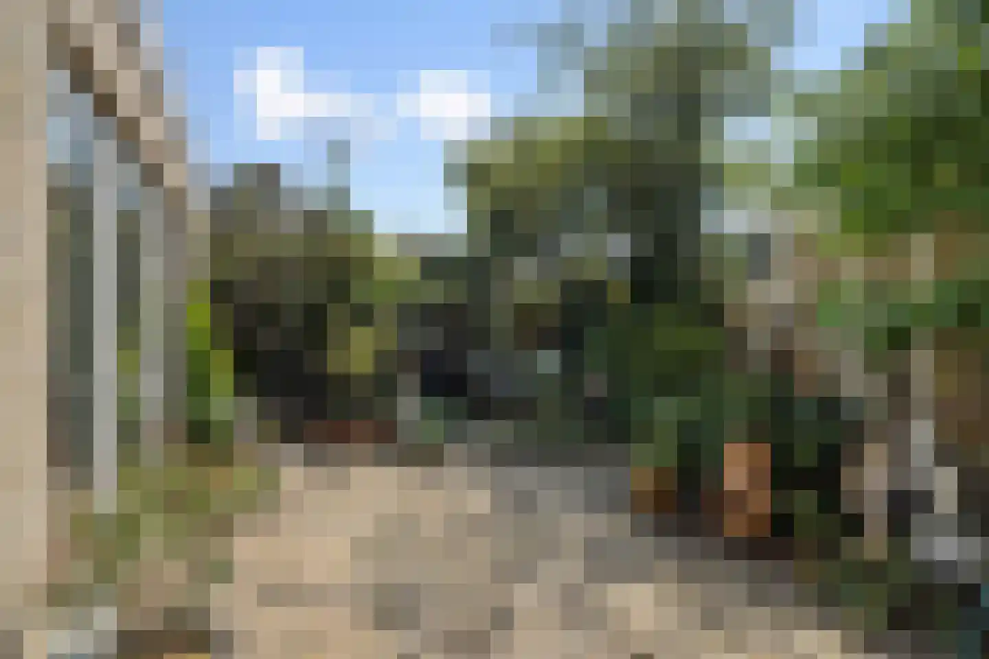 Willem Elsschotstraat 9 Rosmalen thumbnail 27