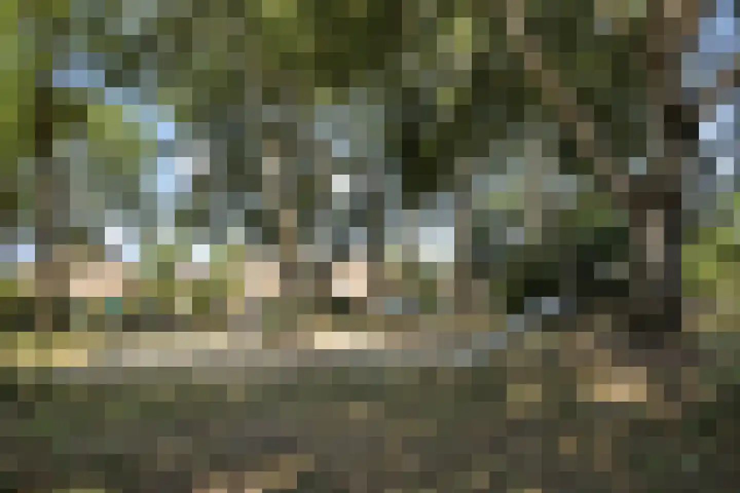 Willem Elsschotstraat 9 Rosmalen thumbnail 34