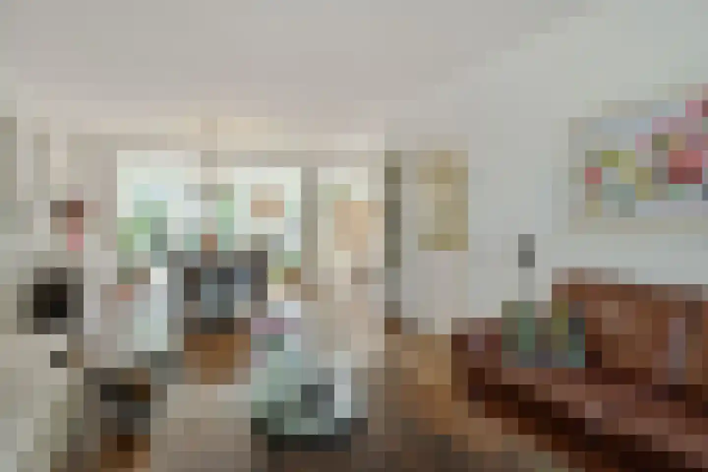 Willem Elsschotstraat 9 Rosmalen thumbnail 5