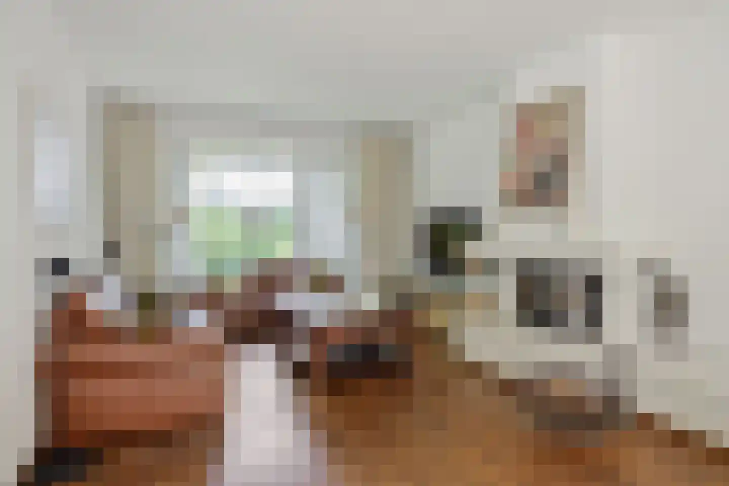 Willem Elsschotstraat 9 Rosmalen thumbnail 6