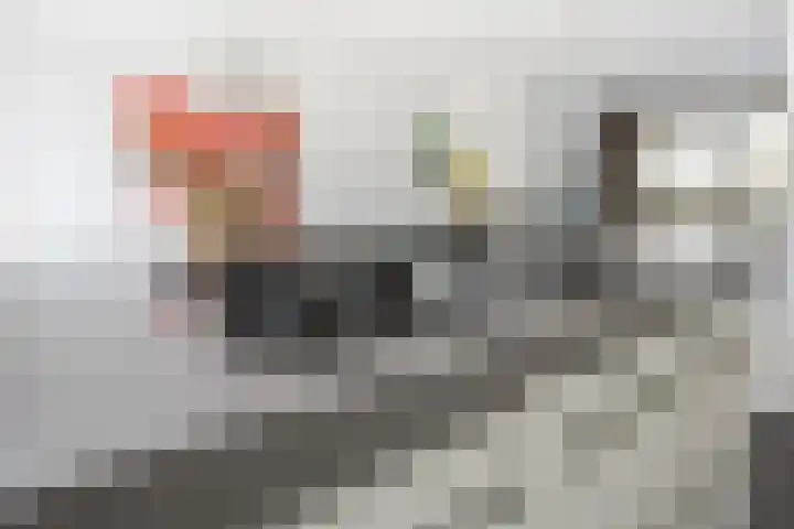 Willem F. Hermansstraat 10 Voorschoten thumbnail 16