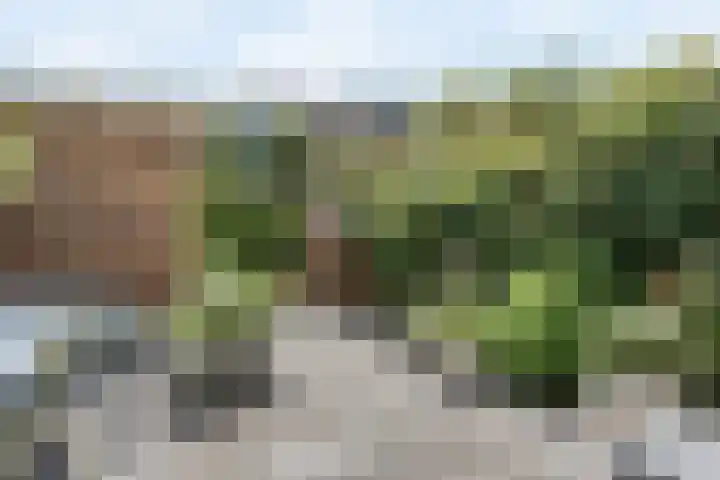 Willem F. Hermansstraat 10 Voorschoten thumbnail 34