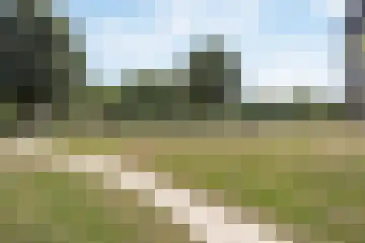 Willem F. Hermansstraat 10 Voorschoten thumbnail 40