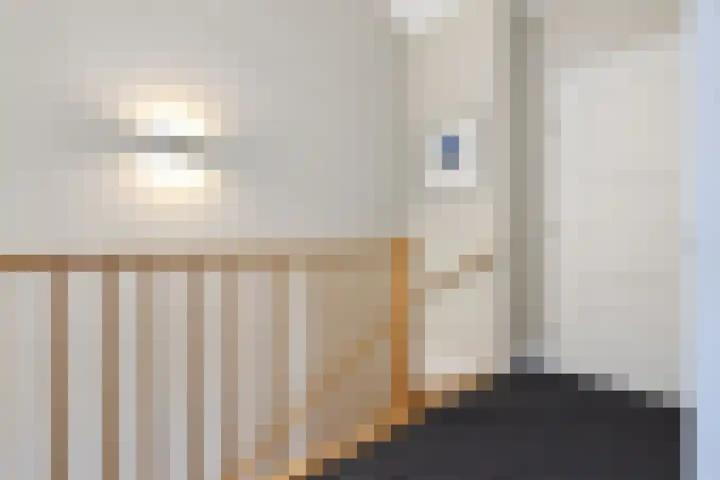 Willem F. Hermansstraat 9 Voorschoten thumbnail 27