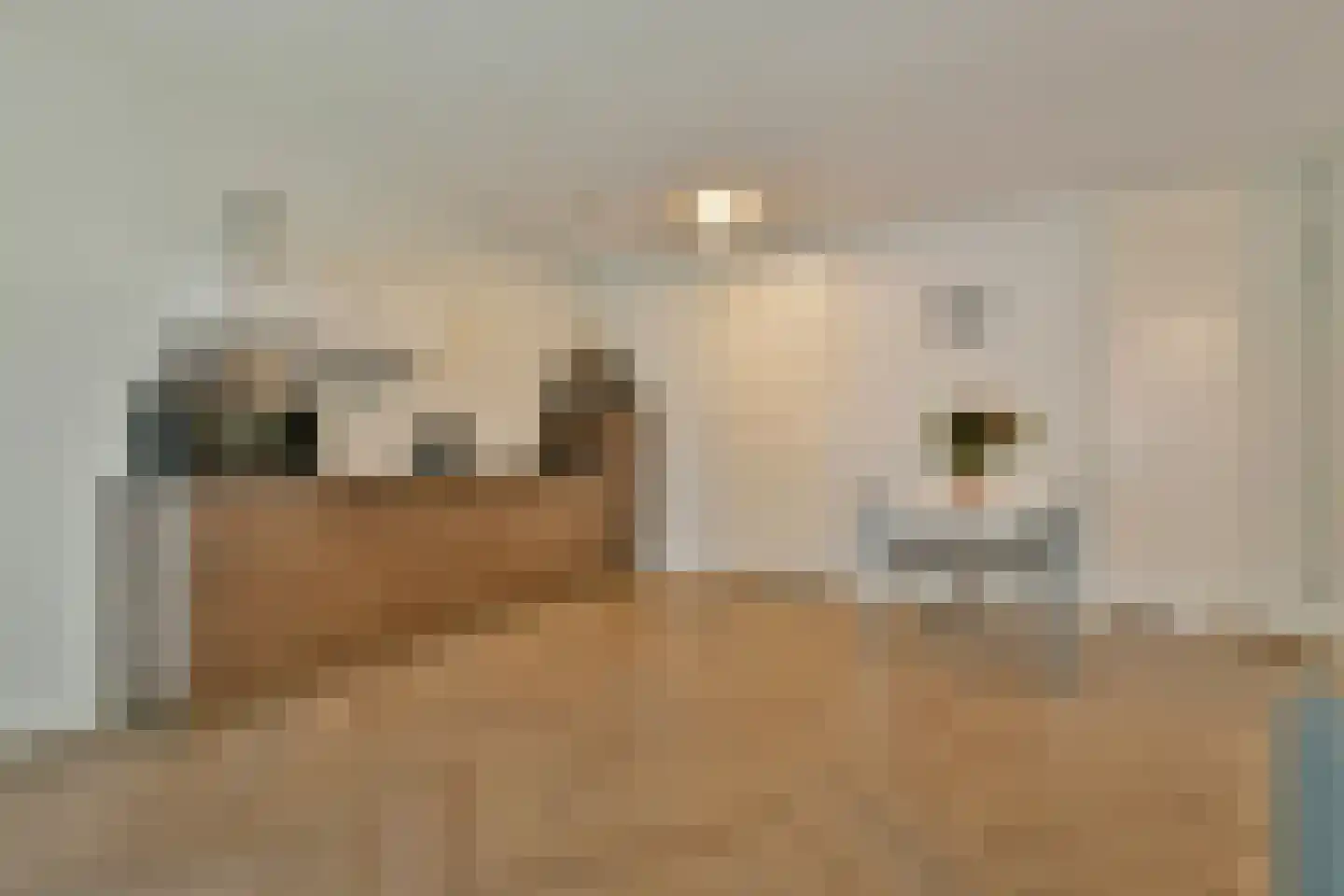 Willem Frederik Hermansstraat 121 Amsterdam thumbnail 4