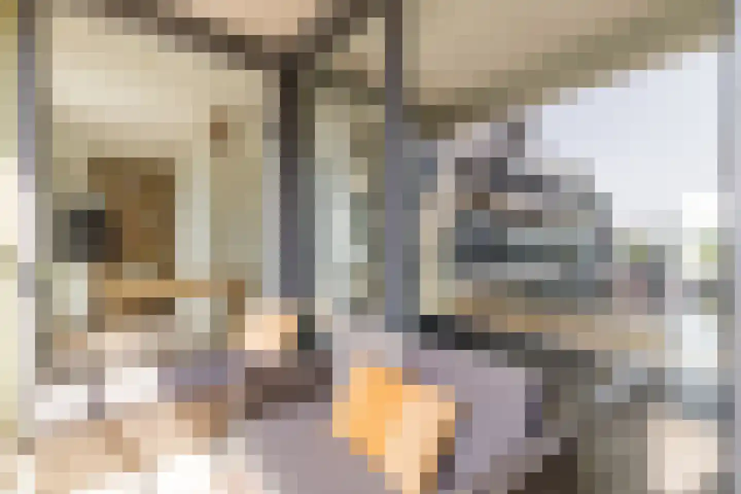 Willem Frederik Hermansstraat 436 Utrecht thumbnail 14