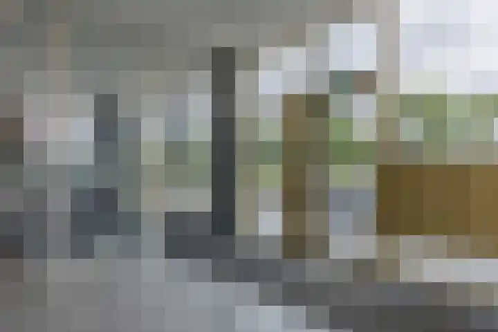 Willem Frederik Hermansstraat 444 Utrecht thumbnail 39