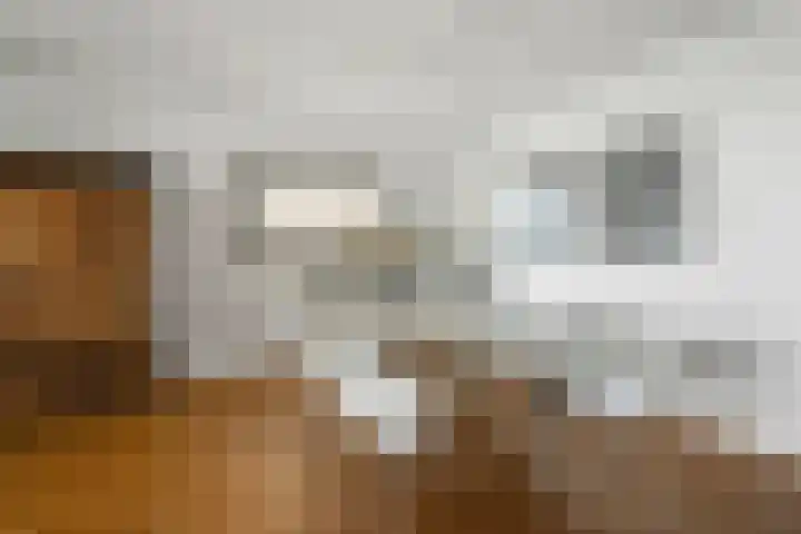 Willem Frederik Hermansstraat 45 Amsterdam thumbnail 16