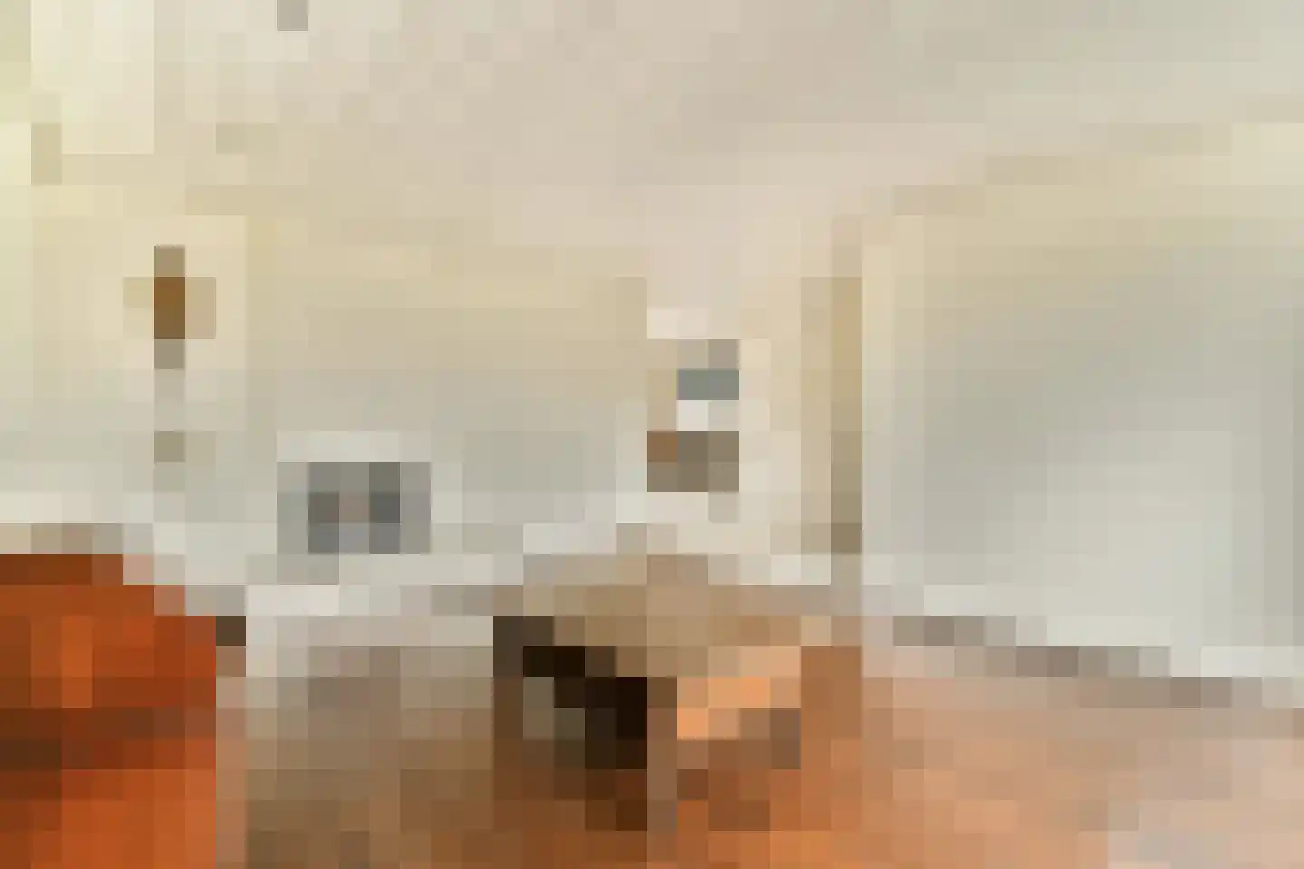 Willem Frederikstraat 58 Vlaardingen thumbnail 8