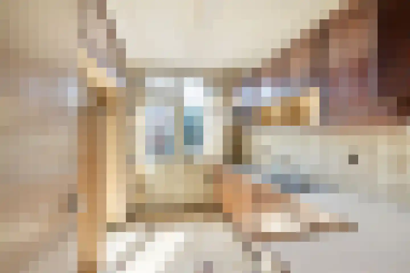 Willem Frederikstraat 63 Vlaardingen thumbnail 16