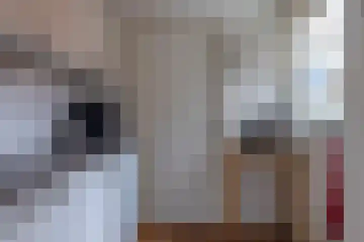 Willem Frederikstrjitte 17 Kootstertille thumbnail 18
