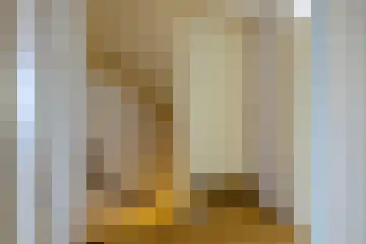 Willem Frederikstrjitte 17 Kootstertille thumbnail 33
