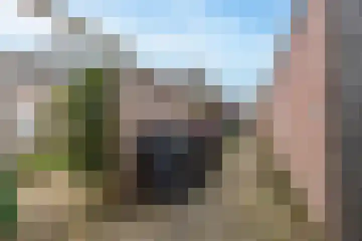 Willem Frederikstrjitte 17 Kootstertille thumbnail 40