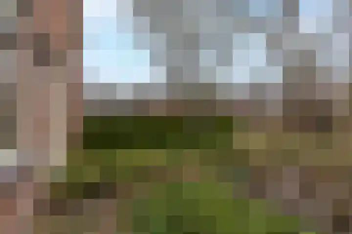 Willem Frederikstrjitte 17 Kootstertille thumbnail 44