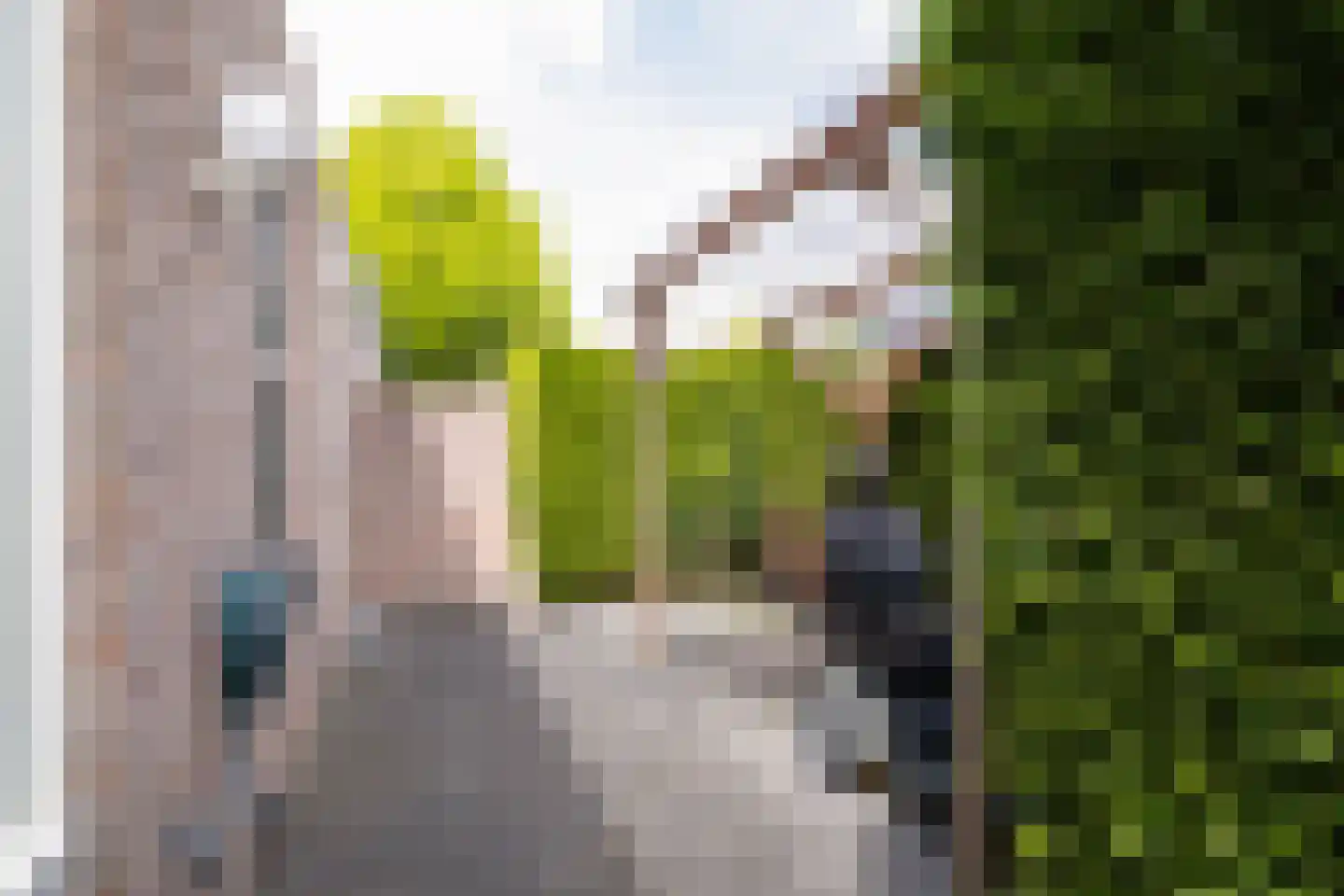 Willem Gamestraat 2 Overdinkel thumbnail 25