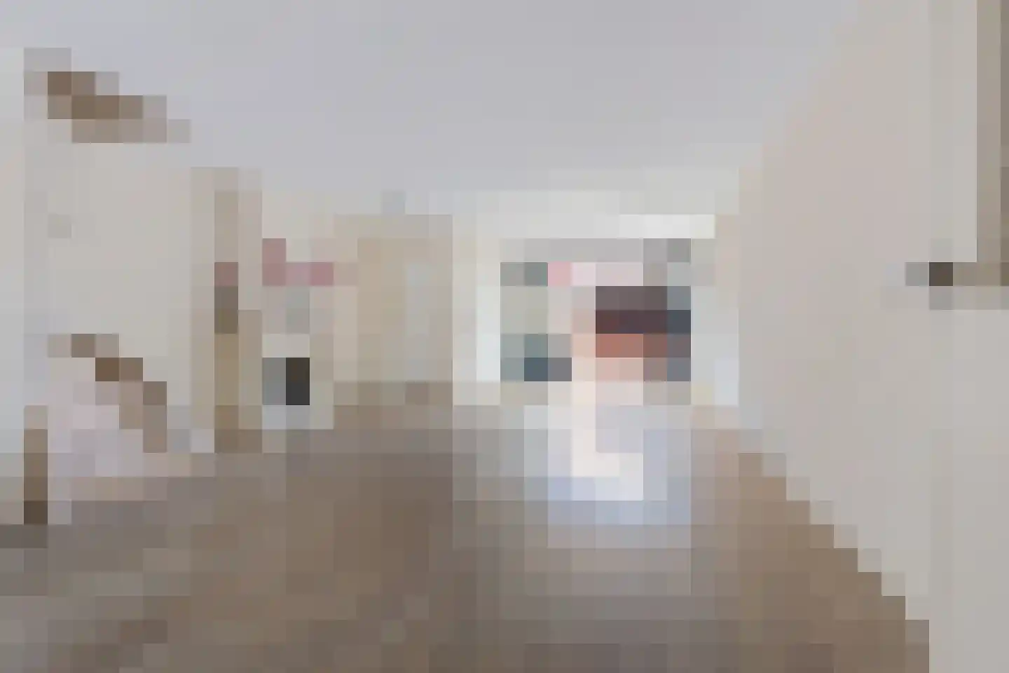 Willem Gerresepad 17 Amsterdam thumbnail 7