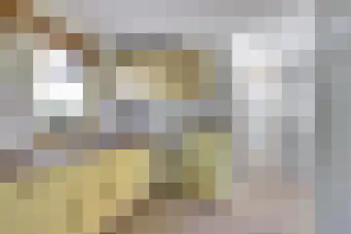 Willem Gerresepad 50 Amsterdam thumbnail 10