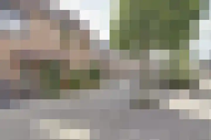 Willem Gerresepad 50 Amsterdam thumbnail 27