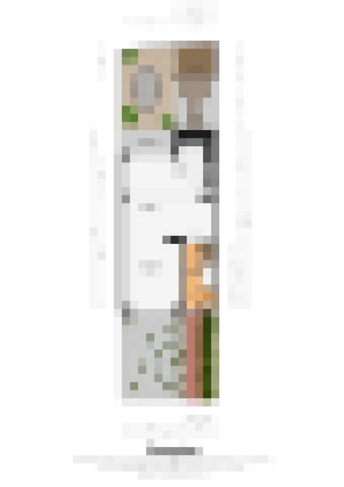 Willem Goossensstraat 18 Sittard thumbnail 21