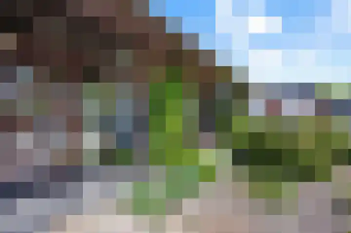 Willem Grolstraat 122 Emmen thumbnail 38